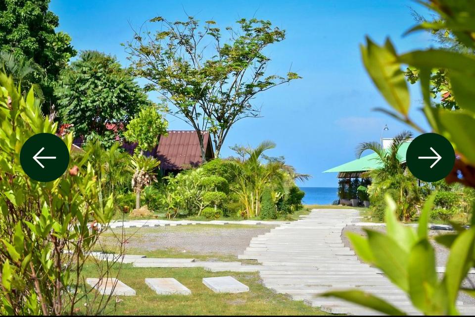 รีสอร์ท หาดคลองดาว เนื้อที่ 6 ไร่ 3