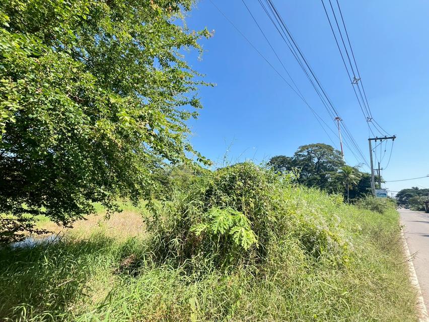 ขายที่ดินขอนแก่น โซน ร.8 9