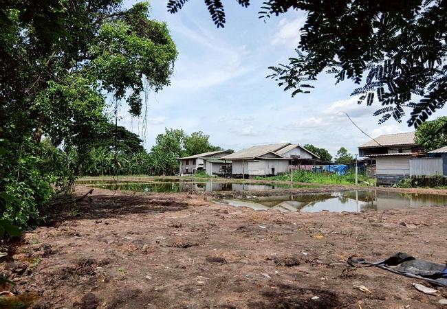 ขายที่ดิน ซอยมิตรไมตรี 14 ถนนมิตรไมตรี หนองจอก กรุงเทพ เนื้อที่ 1 ไร่ ถมแล้ว 6