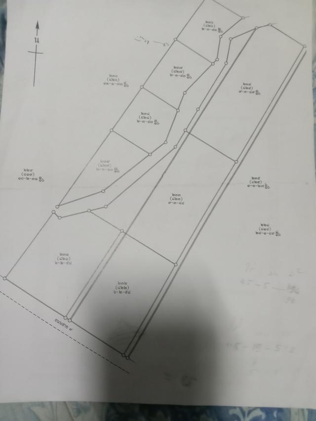 ที่ดิน นิคมพัฒนา จ.ระยอง 2