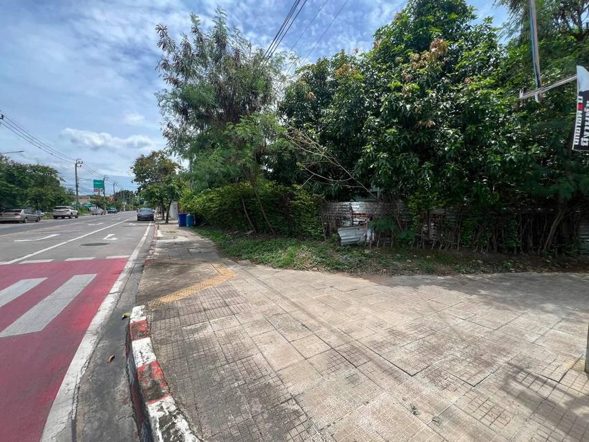 ขายที่ดินพร้อมสิ่งปลูกสร้าง แปลงมุม ติดถนนเฉลิมพระเกียรติ ร.9 ซอย28 ทำเลดี (N.2227) 15
