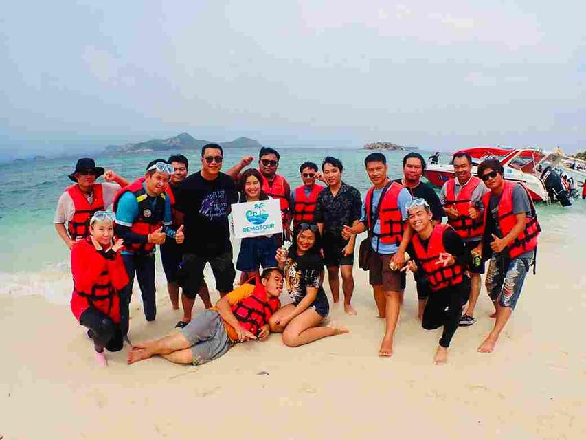 โปรแกรม SM115 ทัวร์ดำน้ำแสมสาร  One day trip ราคา 1,800 บาท รวมทุกอย่าง จาก กทม. 12