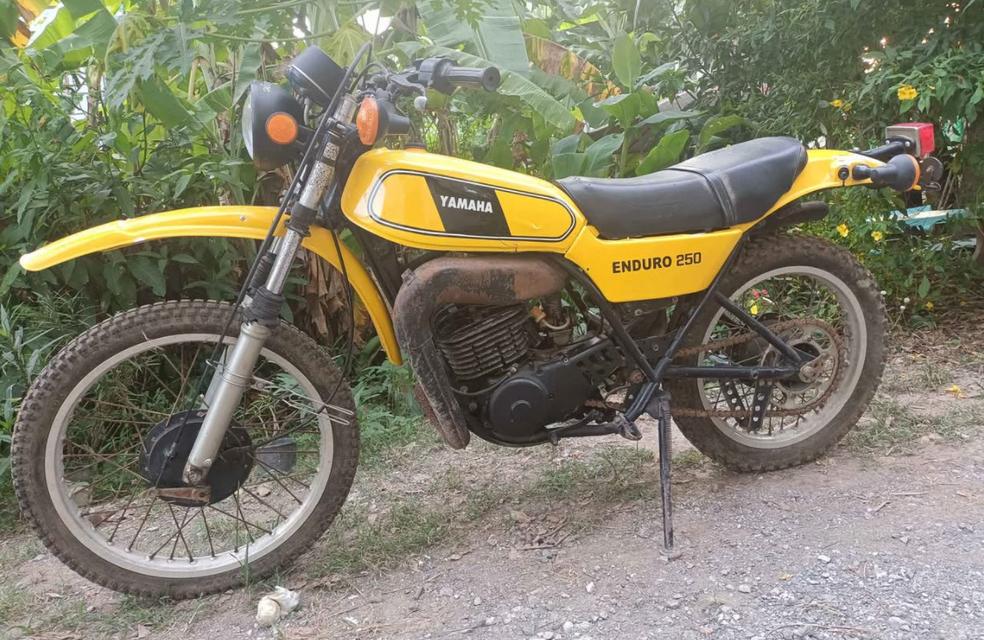 Yamaha DT 250 สีเหลือง ปี 1972 4