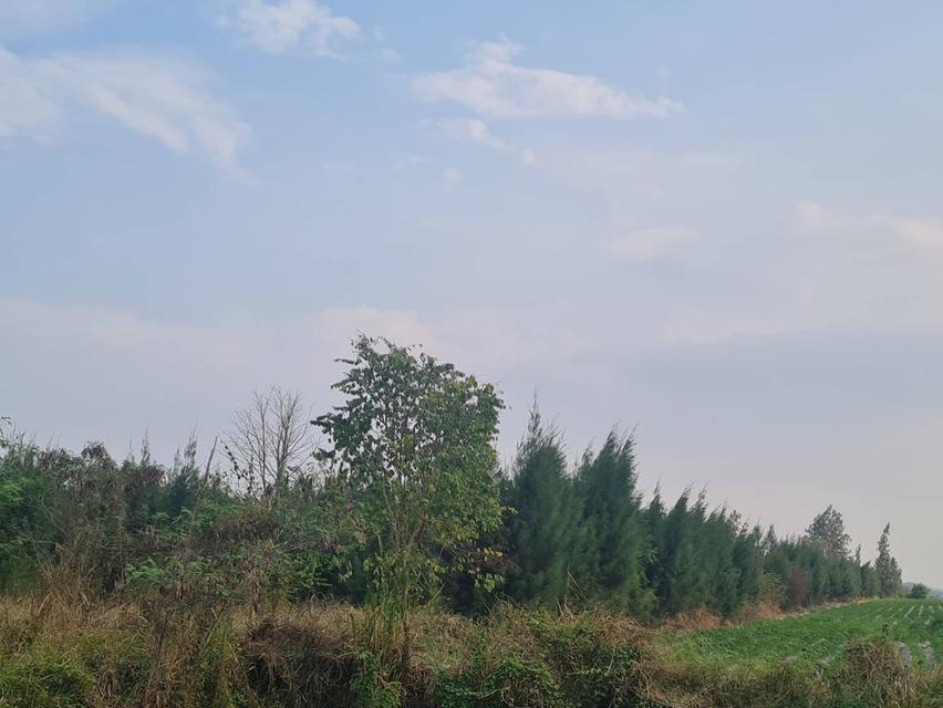 ขายที่ดิน โฉนดราคาถูก บ้านหนองหมี ตำบลป่าหวาย อำเภอสวนผึ้ง จังหวัดราชบุรี    เนื้อที่ 19 ไร่  ราคาไร่ละ 140,000 บาท 2