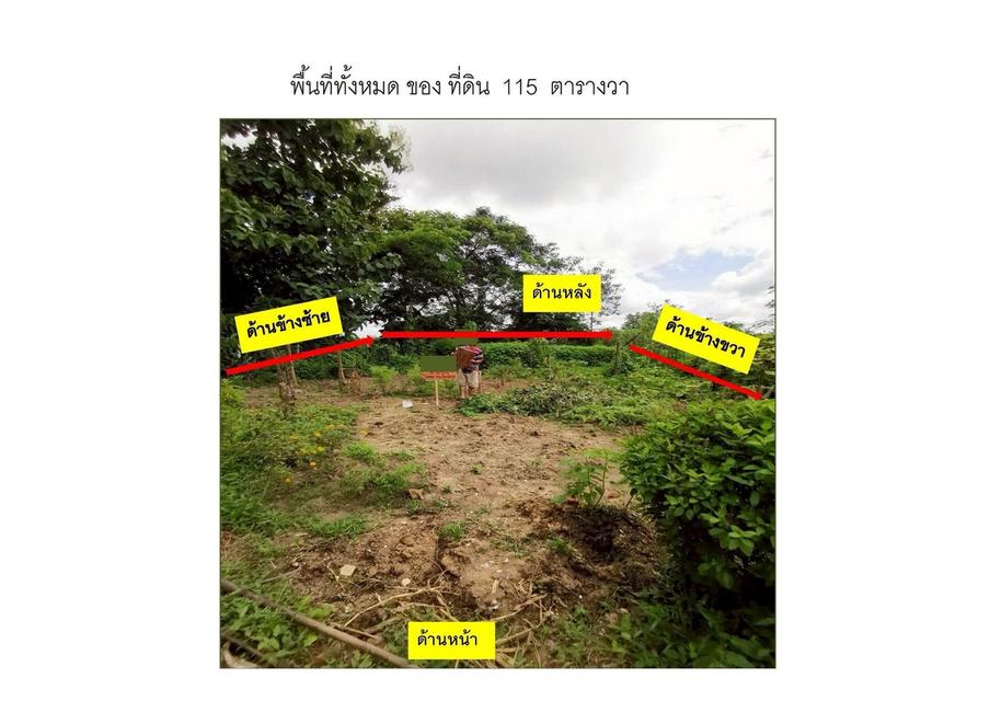 ขายด่วน‼️ ที่ดินโฉนด 116 ตร.ว. สันกำแพง เชียงใหม่ ใกล้วัดกอสะเลียม เจ้าของขายเอง ราคาถูกมาก 3