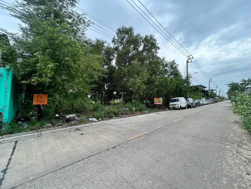 ขายที่ดิน 100 ตรว ติดถนนคอนกรีต ถมแล้ว ซ.หมู่บ้านจิตรัตนา บางบัวทอง นนทบุรี 5