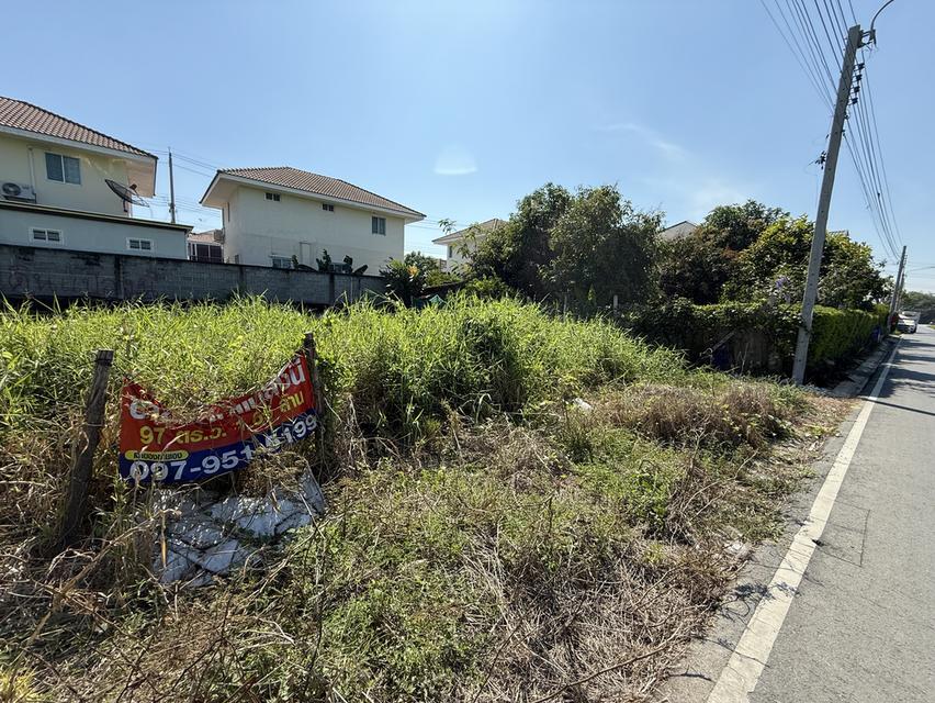 ที่ดินถมแล้ว ไทรน้อย 10