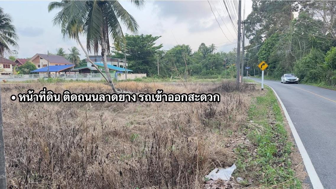 🔥🌊 ขายด่วน! ที่ดินทำเลทอง 1 ไร่ 3 งาน ติดถนนดำ-ใกล้ทะเลแค่เอื้อม! 🔥 4