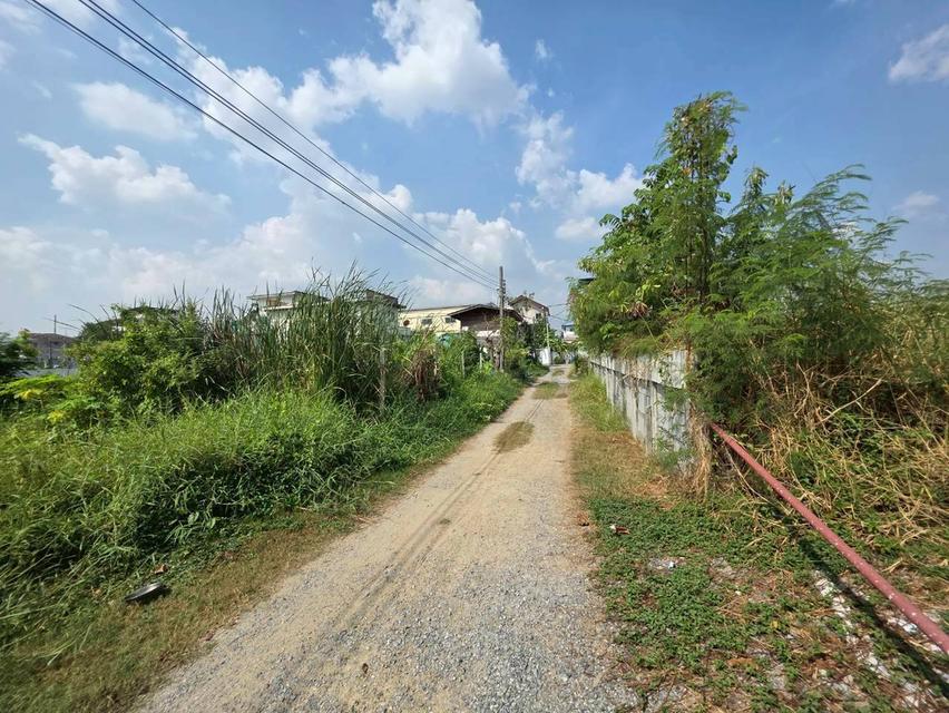 ขายที่ดินเปล่า ซอยสะแกงาม13 แยก4-9-4 3