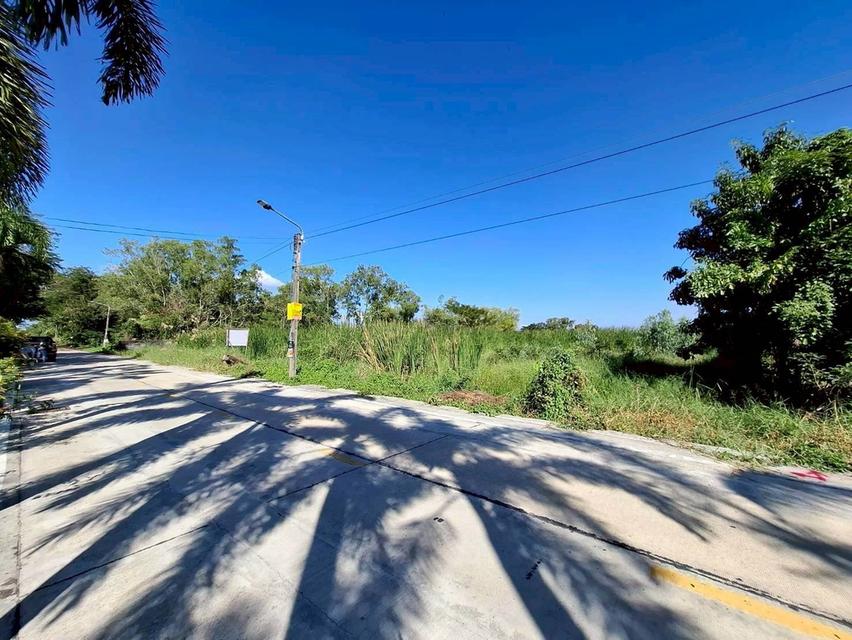 Vายด่วนที่ดินคลองสอง 2 ไร่ ซอย ไอยรา 34 อ.คลองหลวง จ.ปทุมธานี 4