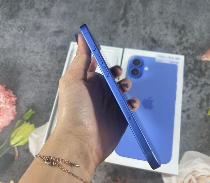 iPhone 16 plus สี Ultramarine  2