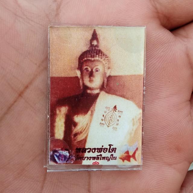 รูปถ่ายหลวงพ่อโต ใบละ 250