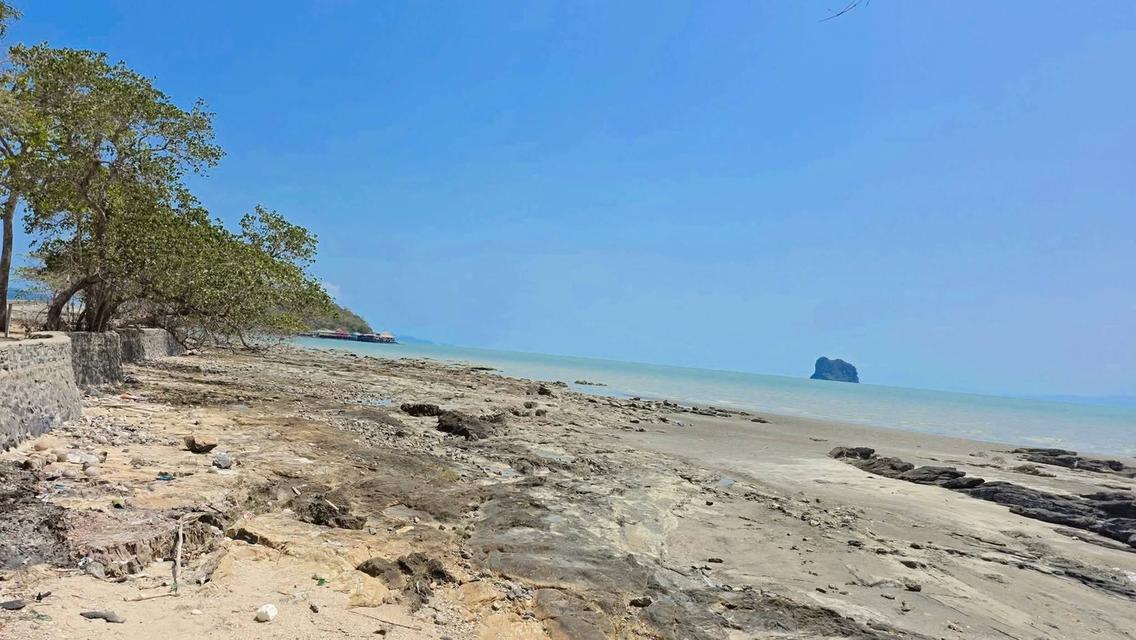 ที่ดินติดทะเลสุราษฎร์ธานี 3