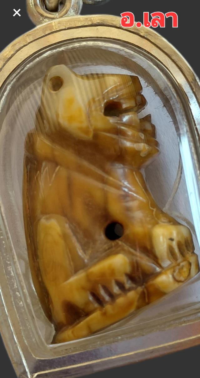 เขื้ยวเสื้อหวงพ่อปาน