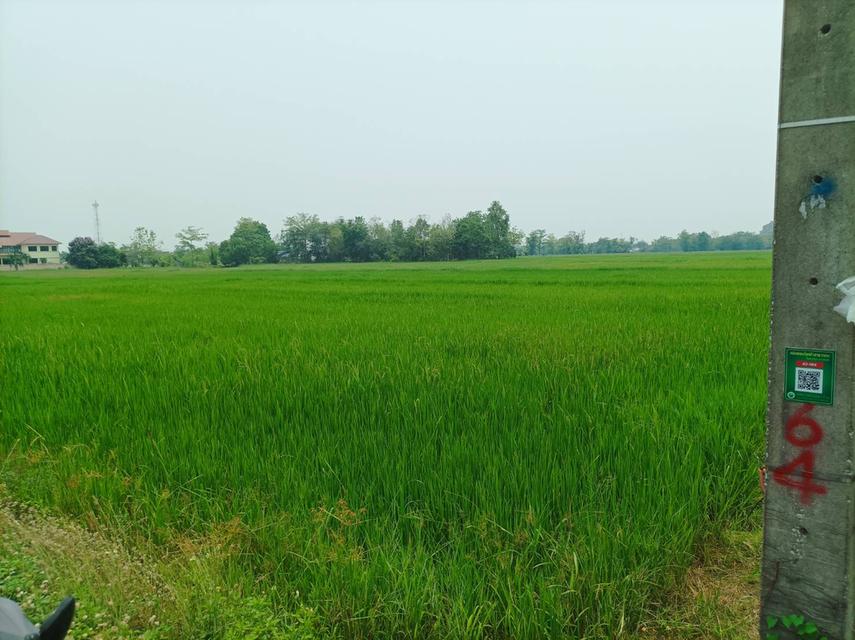 ขายที่ดิน ราคา8,000บาท/ตร.ว. ต.สง่าบ้าน อ.ดอยสะเก็ด จ.เชียงใหม่ 9