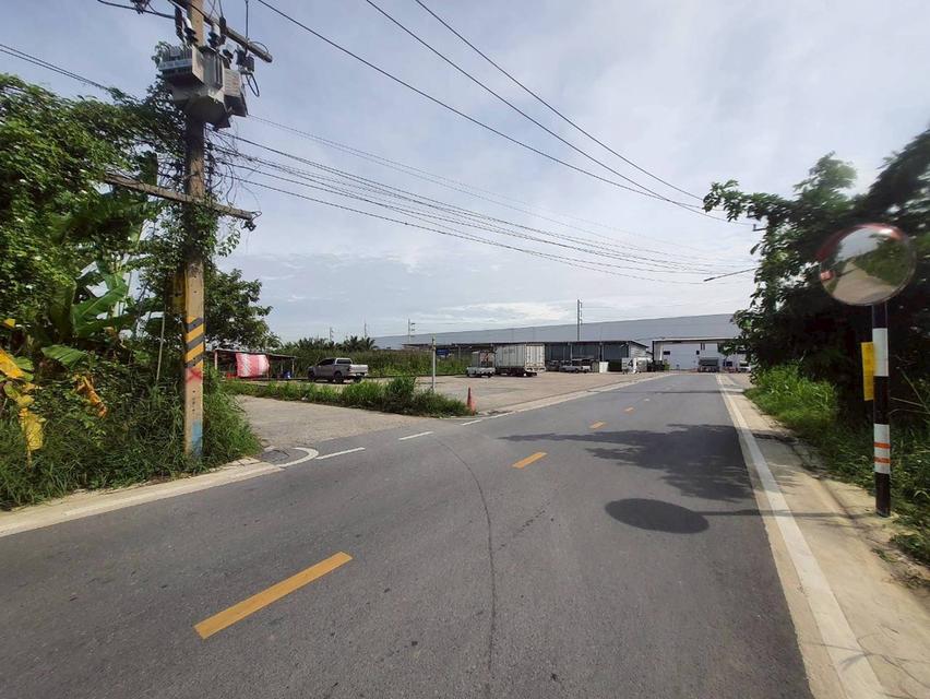 ร้อนเงินVายถูก ที่ดินบ้านกลาง 244 ตารางวา ติดถนนคอนกรีตสาธารณะ ซอย โม่ฮวด 7 เมืองปทุมธานี 9