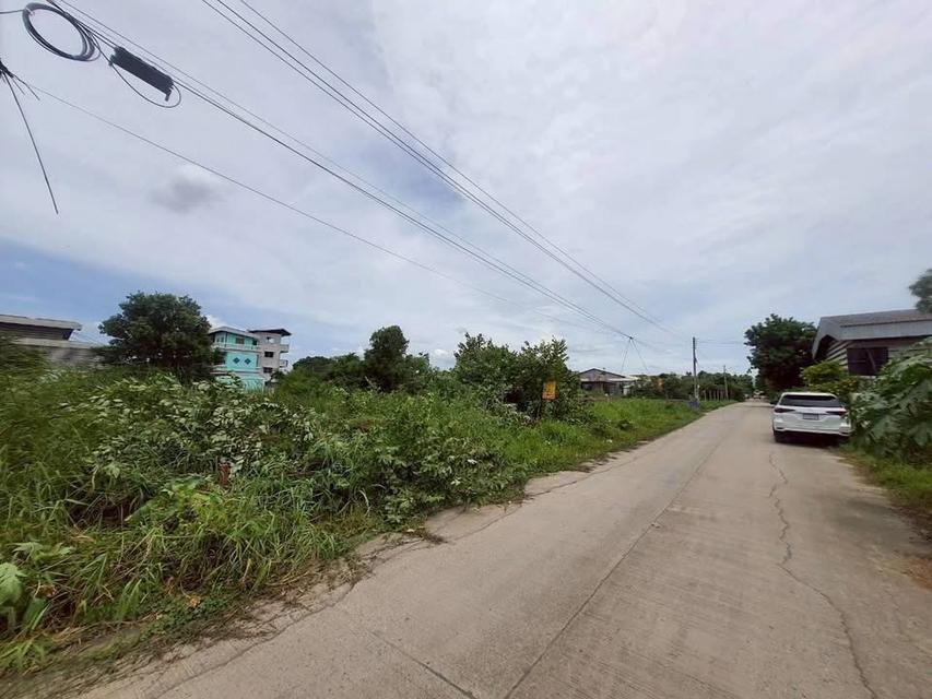 ขายด่วนที่ดินใกล้ตลาดไท 403 ตารางวา ติดถนนคอนกรีตสาธารณะ 2 ด้าน ไอยรา 18,19 อ.คลองหลวง จ.ปทุมธานี 5