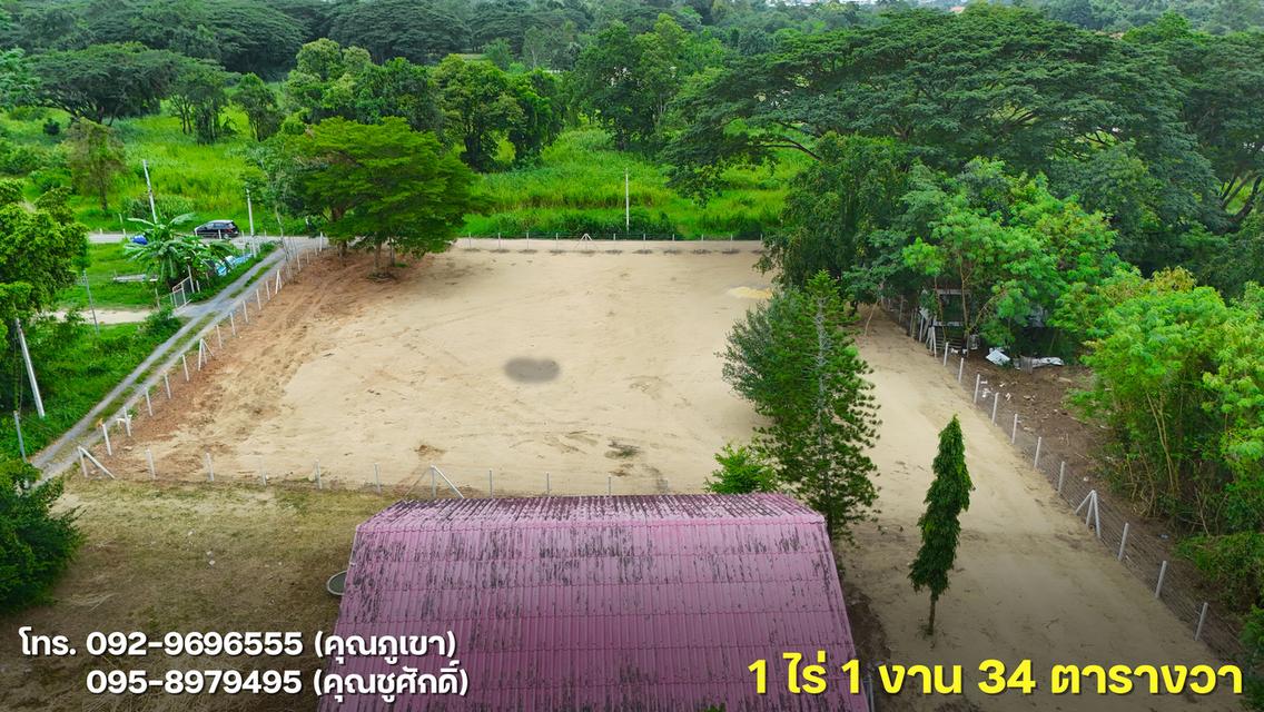ขายที่ดินโซนเมืองปากช่อง 1 ไร่ 1 งาน 34 ตารางวา 7