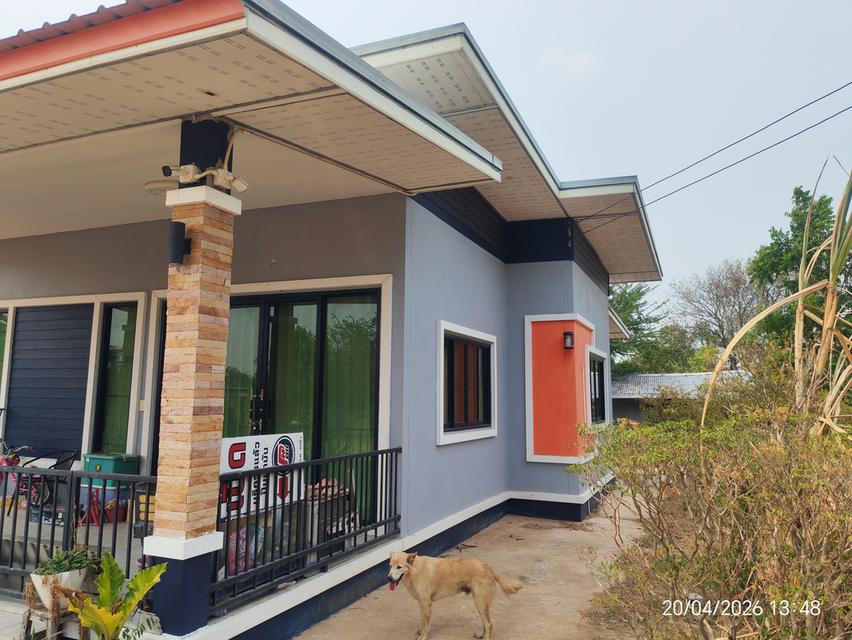 ​🏠 [ประกาศขาย] บ้านสวนโมเดิร์น พร้อมที่ดินผืนใหญ่ 11 ไร่เศษ 🌳 ​สัมผัสชีวิตใกล้ชิดธรรมชาติ บนพื้นที่ส่วนตัวที่ตอบโจทย์ทุกการใช้ชีวิต 🍃 14