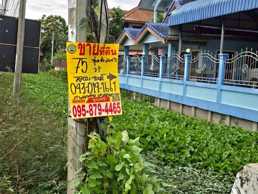 ที่ดิน 3