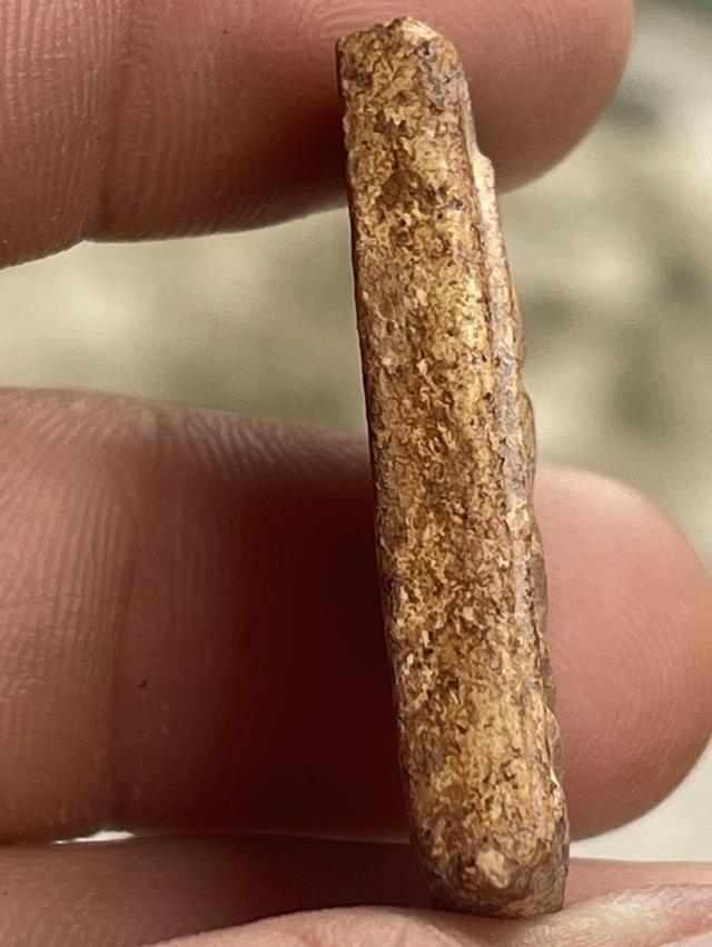 พระบ้าน 19