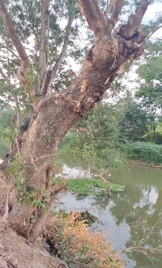 เปิดขายที่ดินริมน้ำ เมืองนครนายก ทำเลสำหรับคนรักธรรมชาติ 6