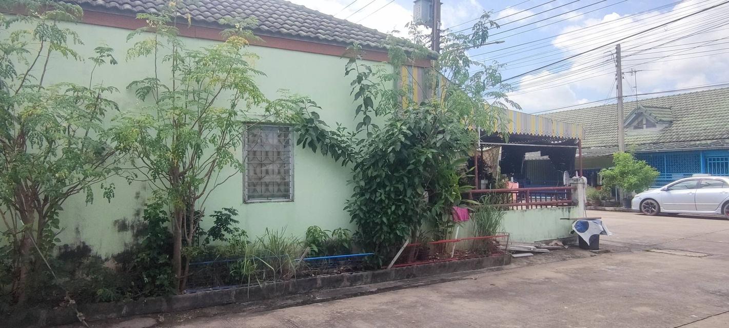 บ้านทาวน์เฮ้าส์ชั้นเดียว 6