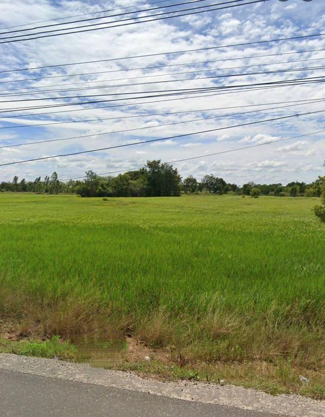 ขายที่ดินติดถนนทร202อำเภอสีดาจังหวัดนครราชสีมา ขนาดที่ดิน 12-​3 -​82 ไร่ หน้ากว้างติดถนน ทร.202- นิเวศรัตน์  218 เมตร ติดถนนสาธารณะ 2 ด้าน 3