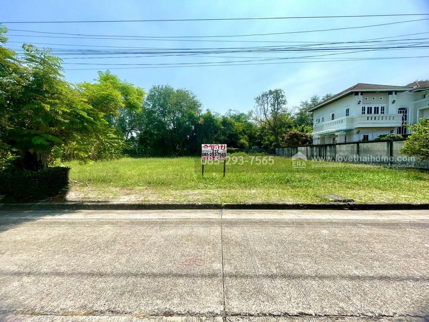 ขายที่ดิน ซอยประชาร่วมใจ31 หมู่บ้านกฤษดานคร25 พื้นที่ 212 ตารางวา ถมแล้ว ถนนเมน ขายถูกเท่าราคาประเมิน เพียง 18,000 บาท/ตรว.เท่านั้น 3