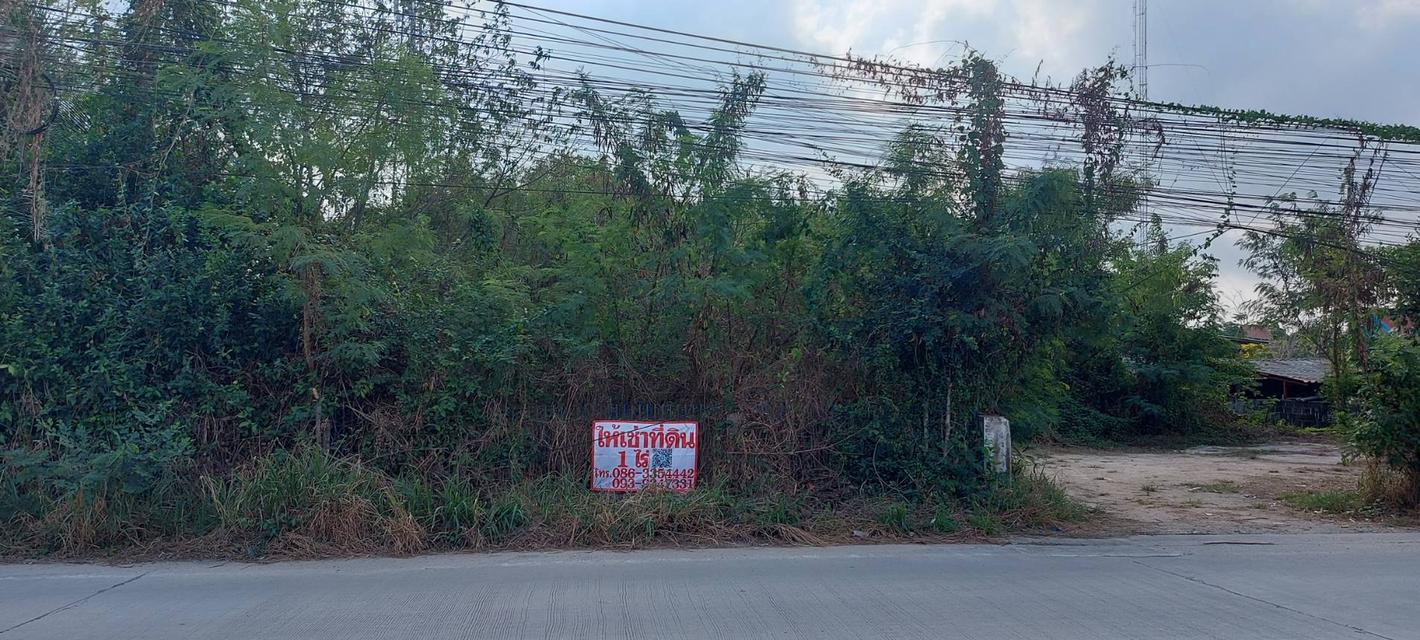 ที่ดินเปล่า ติดถนนสุขุมวิท 2