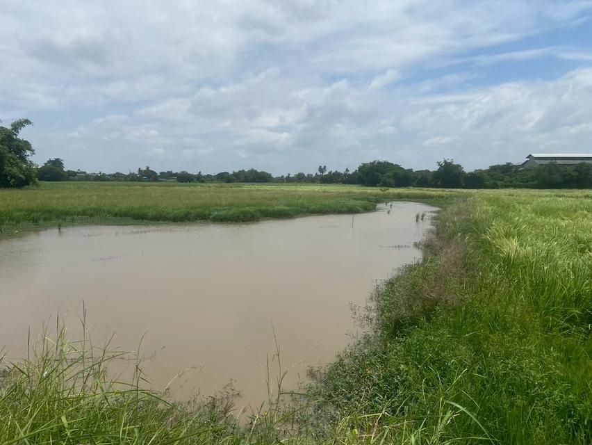 ขายที่ดิน 8 ไร่ อยู่ถนนสายเอเซีย อ. อินทร์บุรี จ. สิงห์บุรี 4