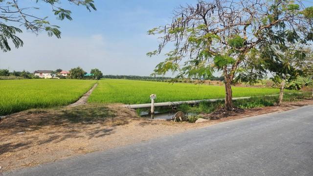 ให้เช่าที่ดิน ที่ดินติดถนนใหญ่ คลองสิบ-คลองสิบสี่ เขตหนองจอก 4