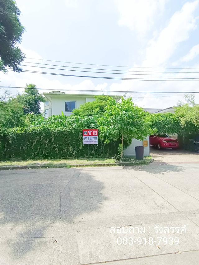 🏡 บ้านหรูหลังใหญ่ บ้านลาดพร้าว ทำเลศักยภาพเลียบด่วนรามอินทรา–เอกมัย ซอยโยธินพัฒนา 11 2
