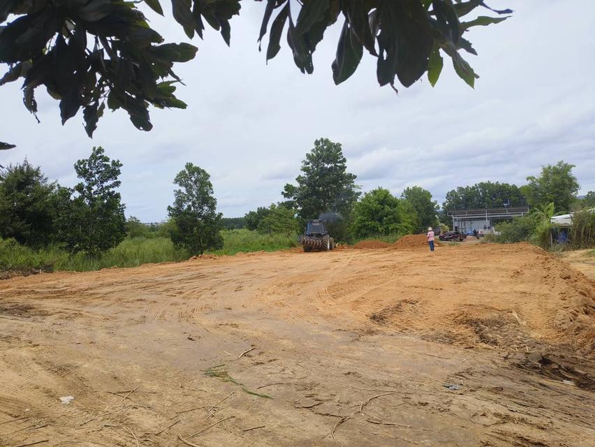 ขายที่บ่อวิน205ตรว.ใกล้อีสเทิร์นซีบอร์ด 10