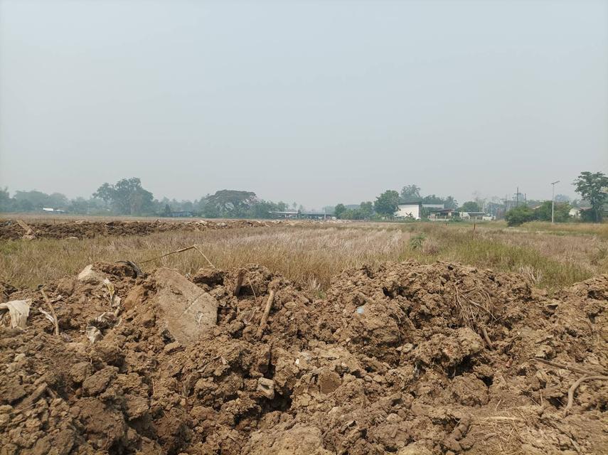 ขายที่ดิน 9,900บาท/ตร.ว. ต.สันปูเลย อ.ดอยสะเก็ด จ.เชียงใหม่ 14