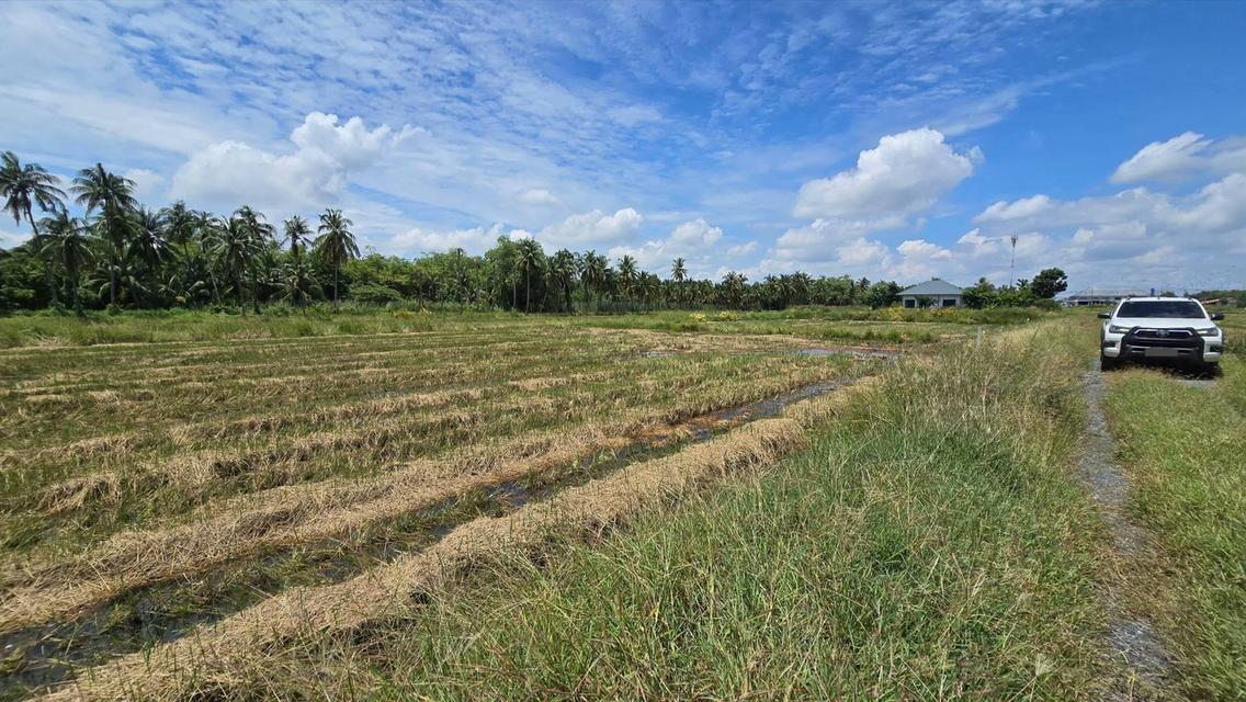 ขายด่วนที่ดิน 600 ตรว ติดถนนสาธารณะ ต.มหาสวัสดิ์ อ.พุทธมณฑล จ.นครปฐม 6