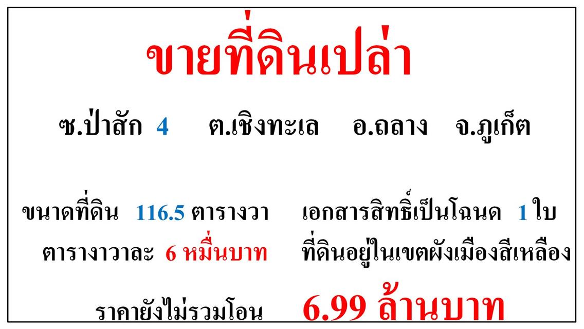 ขายที่ดินเปล่า ขนาด 116.5 ตารางวา **ซ.ป่าสัก 4 เชิงทะเล** อ.ถลาง ภูเก็ต  2