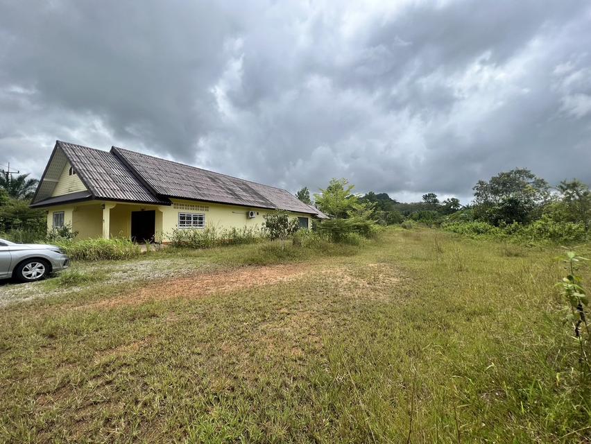 ที่ดินเปล่าจังหวัดตรัง 1