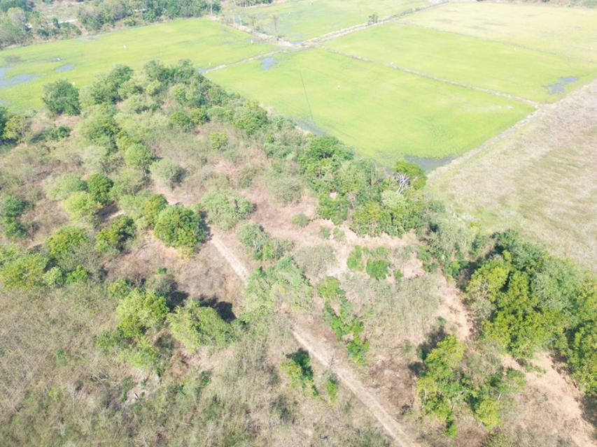 ขาย ที่ดิน ติดเทศบาล ติดเทศบาลโคกพุทรา 2 ไร่ อ่างทอง 5