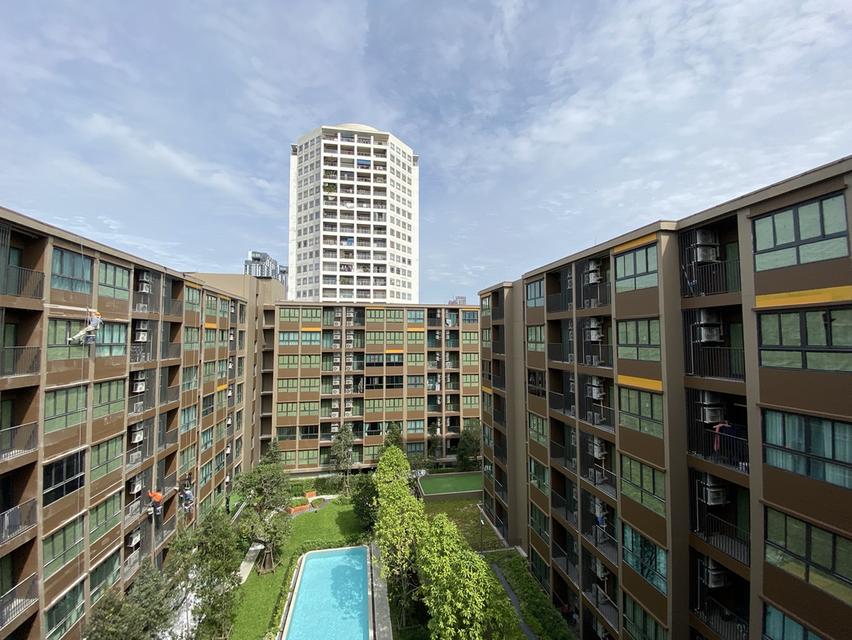 ปล่อยเช่า Dcondo Calm 17