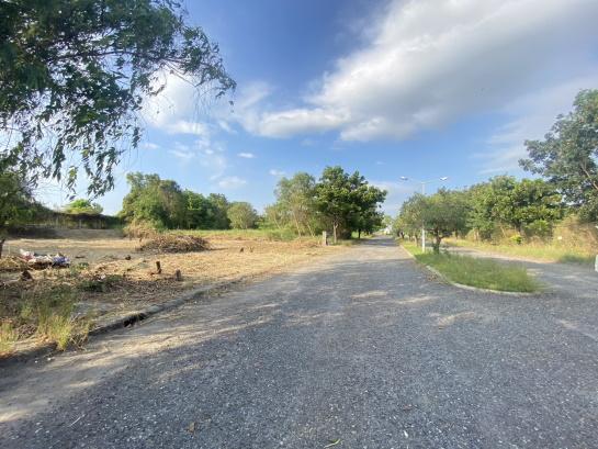 ขายที่ดินแปลงสวย วิจิตราธานี บางนา–ตราด  เนื้อที่ 230 ตร.ว ต่ำกว่าราคาประเมิน คุ้มค่ามาก 9