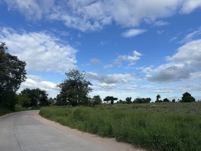 ที่ดินใกล้นิคมอีสเทิร์นซีบอร์ด ชลบุรี-บ่อวิน 5