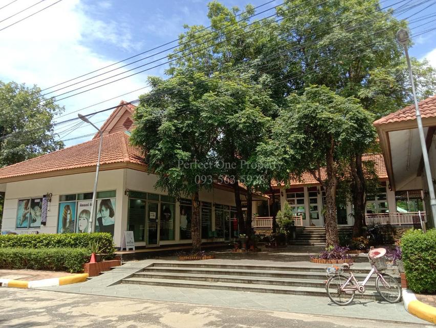 ขายบ้านเดี่ยว หมู่บ้านภัทรา อ่อนนุช-วงแหวน สุขาภิบาล2 18
