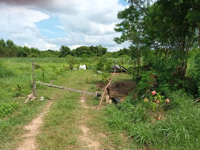 ขายที่ดิน ต.เขาหินซ้อน อ.พนมสารคาม จ.ฉะเชิงเทรา 2