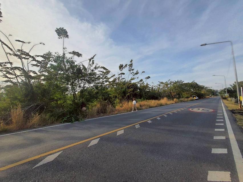 Vายถูกที่สุด ที่ดินติดถนนเลียบคลองสิบสี่  2 ไร่ ทำเลดี มีอนาคต นักลงทุนไม่ควรพลาด อ.หนองเสือ จ.ปทุมธานี 7