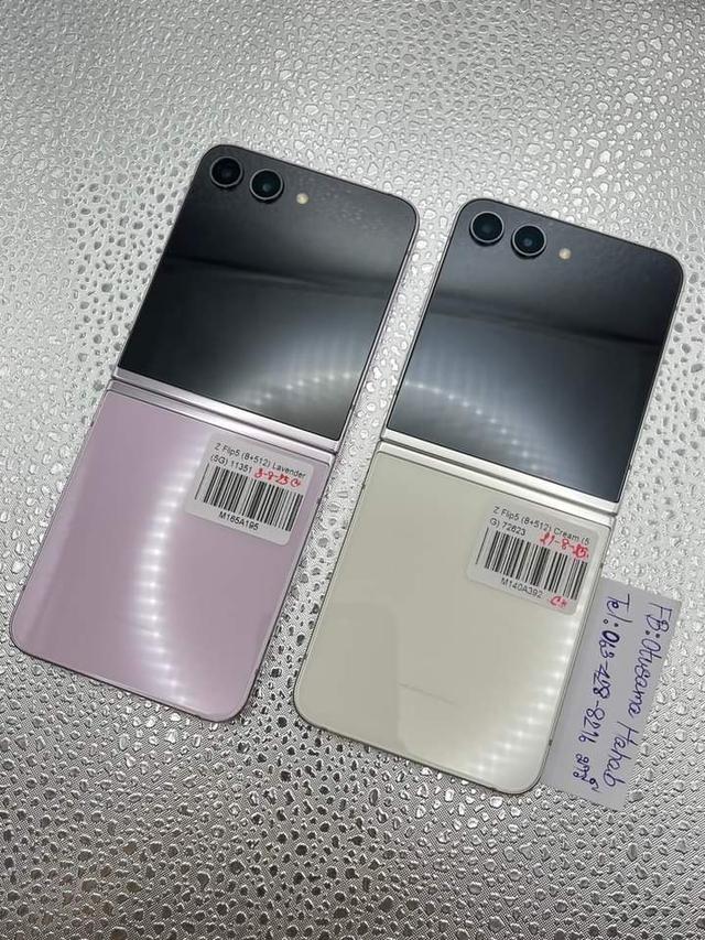 Samsung Z Flip5 หลายสี