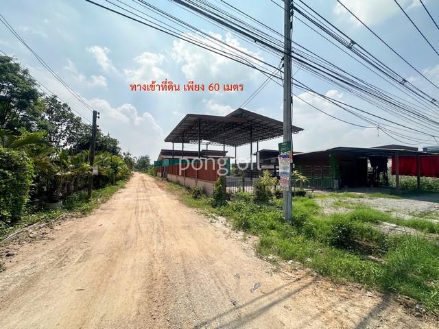 ขายที่ดิน 3 ไร่ ผังรูปสี่เหลี่ยมสวย ปลวกแดง ระยอง ใกล้ถนนหลัก 3191 เพียง 50 เมตร 7