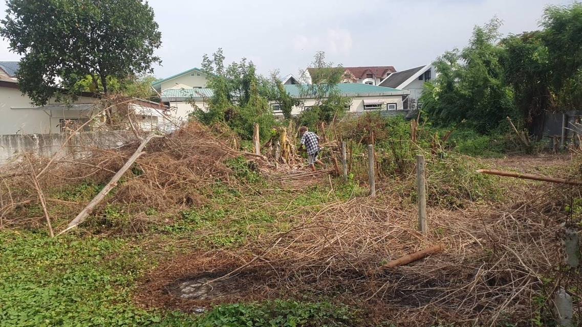 ที่ดินตรงลาดพร้าว ซอย 80 แยก 12 10