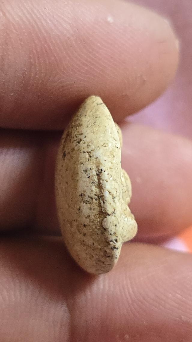 พระกรุวัดพลับ พิมพ์สมาธิเล็ก(ไข่จิ้งจก) 5