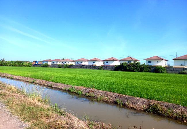 ที่ดิน 2 ไร่ 141 ตร.ว. ซ.วัดวีระโชติธรรมาราม  ตรงข้าม ร.ร.เตรียมพัฒน์ฯ ฉะเชิงเทรา เข้าจากถนนใหญ่สุวินทวงศ์เพียง 900 เมตร ทำเลดี 7